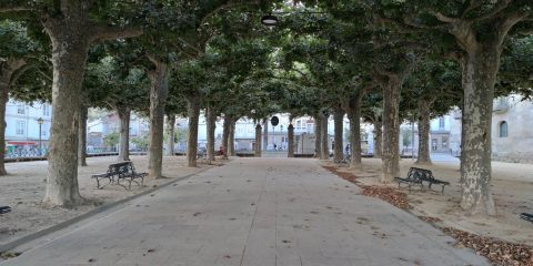 Alameda de Celanova