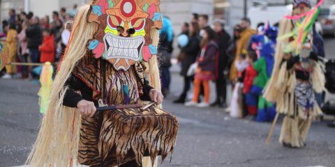 Desfile Carnaval de A Valenza (22)