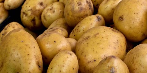 Patatas