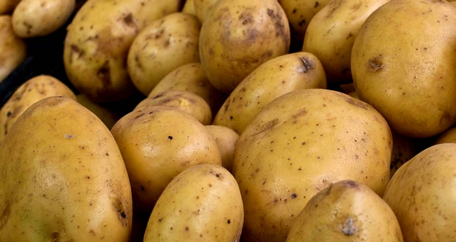 Patatas