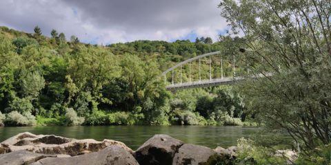 Orilla del Río Miño