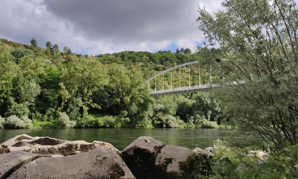 El Ayuntamiento pide ideas para revitalizar las riberas del Miño 1 Orilla del Río Miño