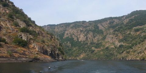 Ribeira Sacra