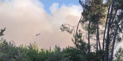 Avioneta en el incendio de Toén