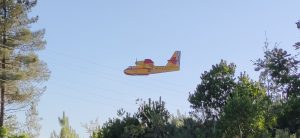 Hidroavión en incendio de Toén