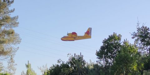 Hidroavión en incendio de Toén