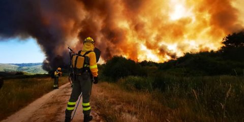 Incendio forestal en Cualedro