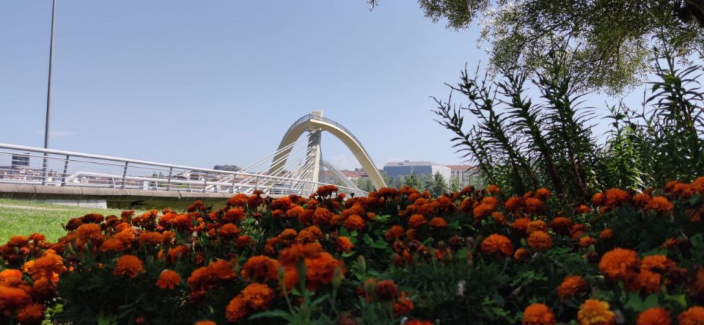 Puente del Milenio con flores