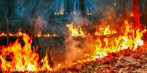 Incendios