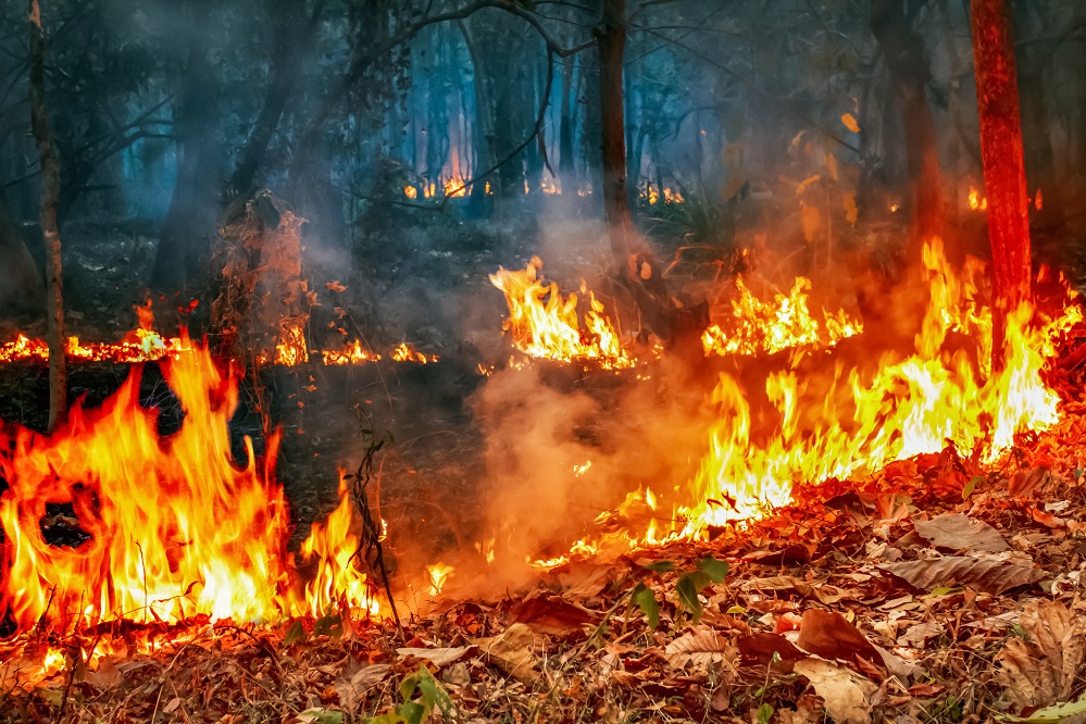 Incendios