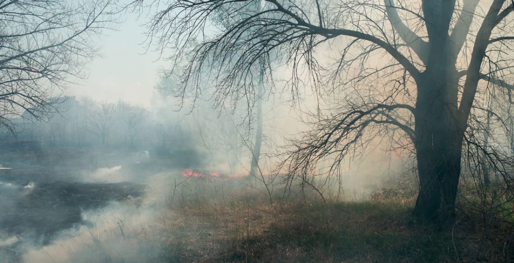 Incendio