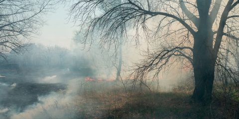 Incendio