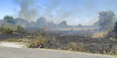 Incendio forestal en Porqueira