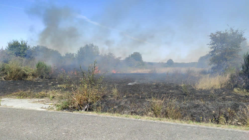 Incendio forestal en Porqueira