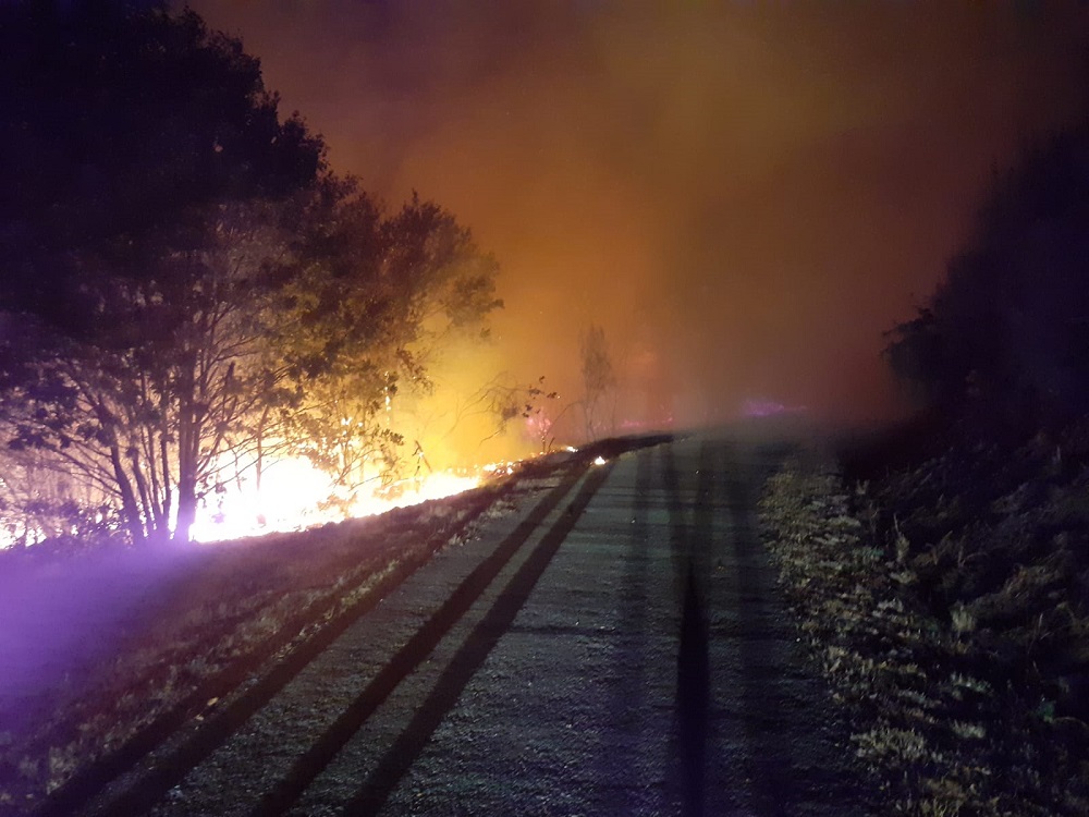 Incendio forestal