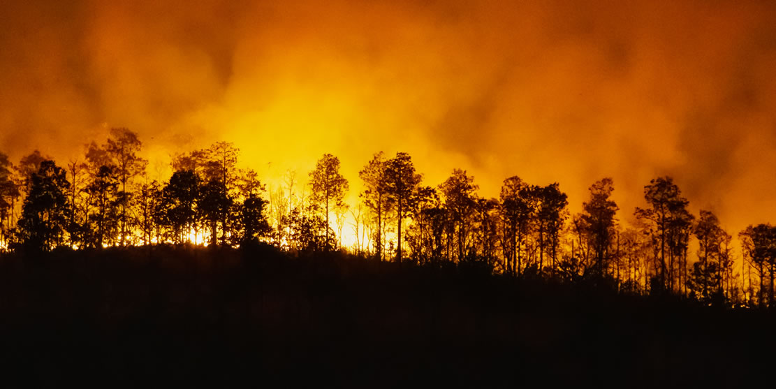 Incendio por la noche