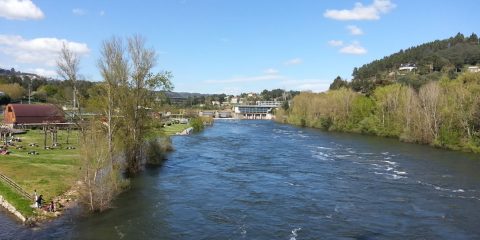 Río Miño a su paso por Oira