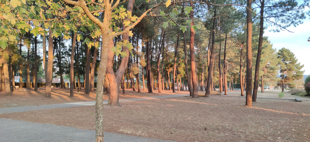 El parque acuático de Ourense cada vez más cerca de ser una realidad 1 Parque de Monterrei