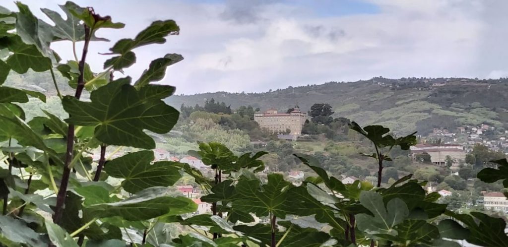 El Seminario Mayor acogerá el final de la etapa de la Vuelta a España 1 Seminario Mayor y Menor de Ourense