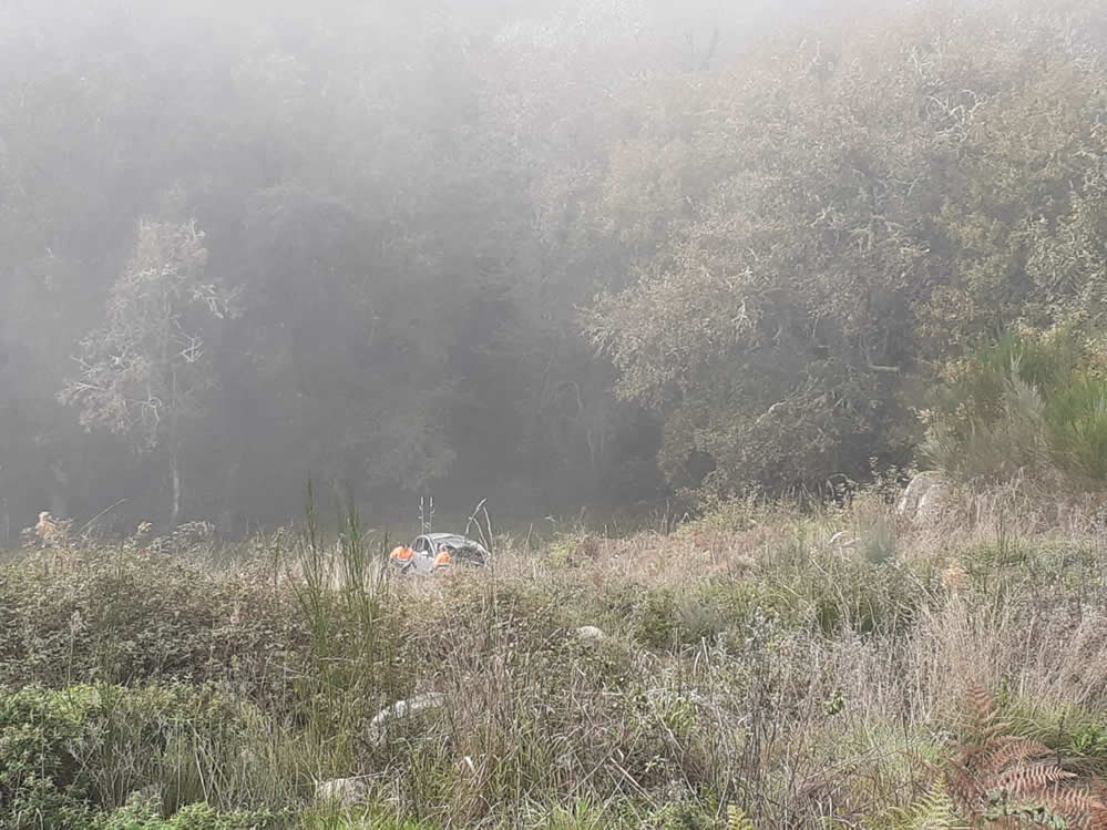 Coche accidentado