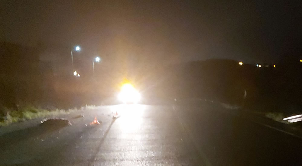 Accidente de tráfico en la OU-540 a su paso por Barbadás 1 Jabalí atropellado en Barbadás