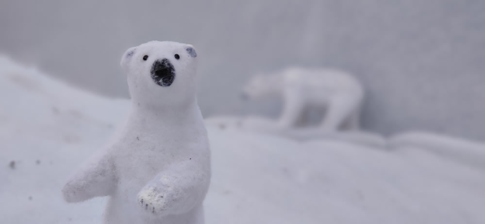 Oso polar en Allariz por Navidad