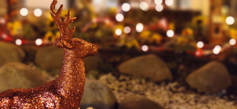 Fotos de la iluminación navideña en A Valenzá 15 Reno de Papá Noel