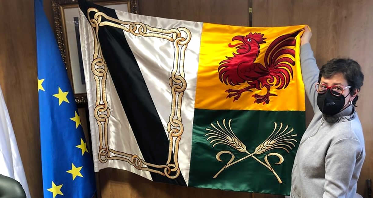 Bandera Xinzo de Limia