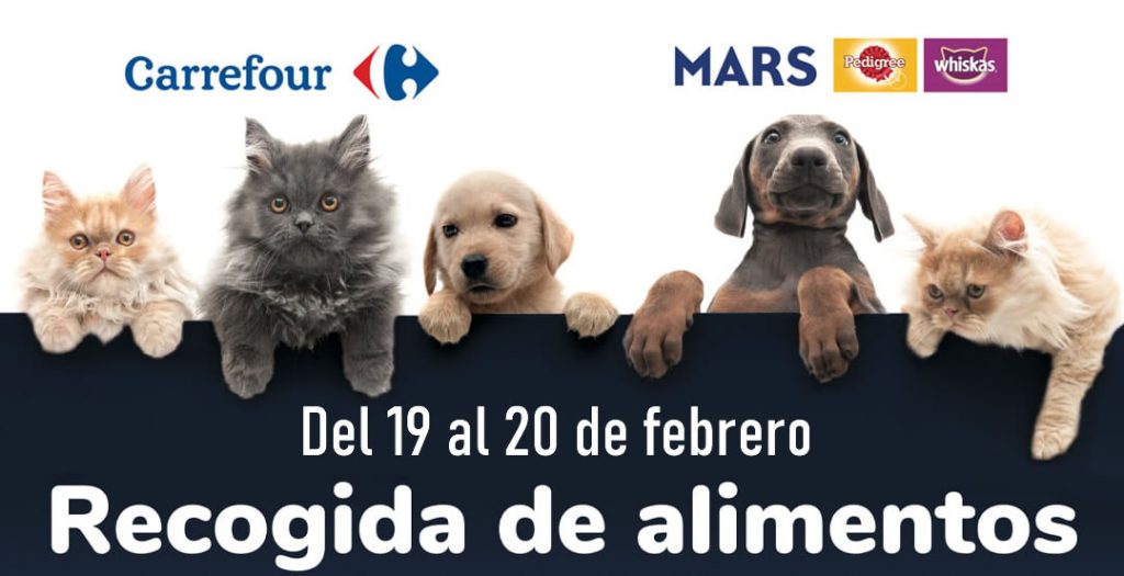 Carrefour organiza una recogida de alimentos para mascotas 1 Recogida de alimentos para mascotas en Carrefour