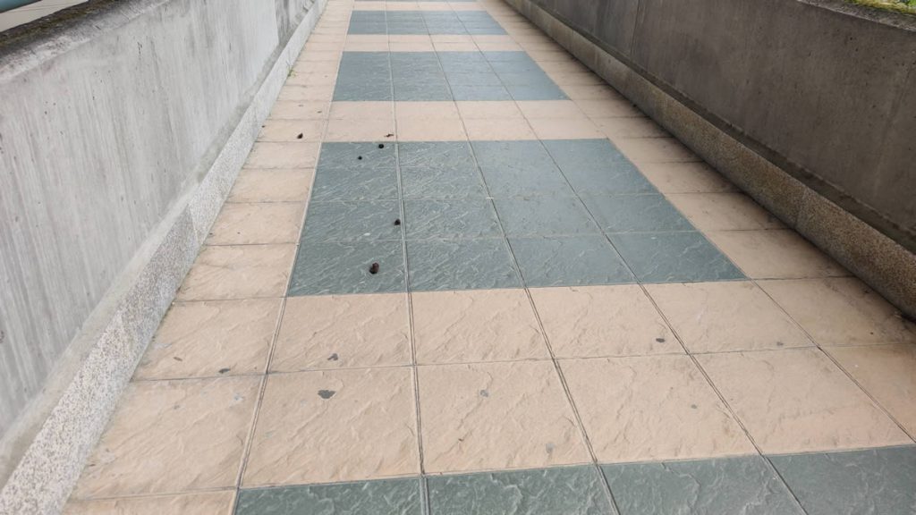 Cacas en el exterior del PonteVella