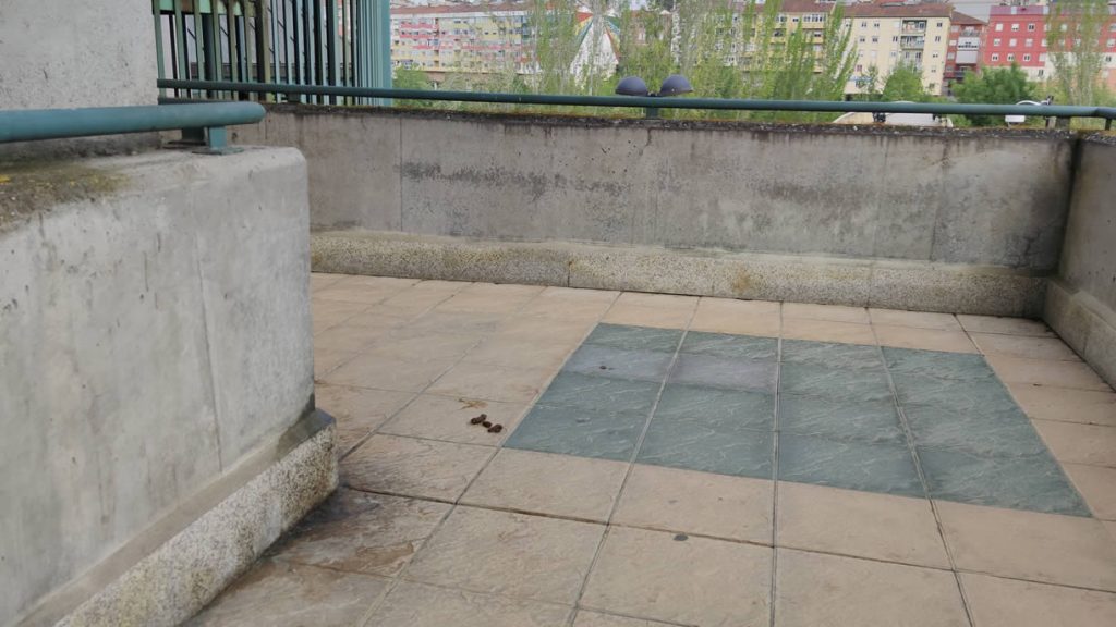 Cacas y orines en el Ponte Vella
