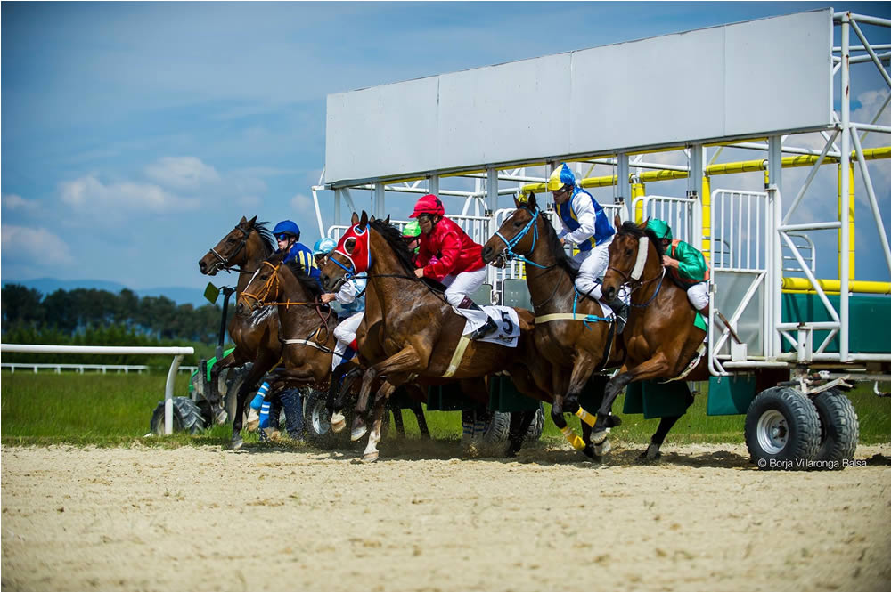 Domingo de carreras en el Hipódromo de Antela 1 Carreras de caballos en Xinzo