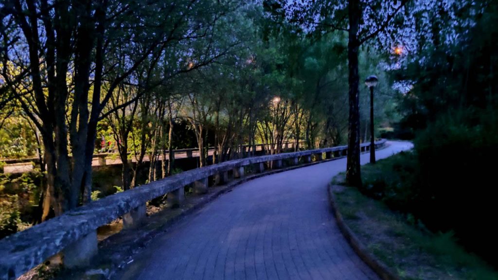 Queja por la escasa iluminación del Paseo del Barbaña hasta el Lidl 2 Paseo del Barbaña sin luz