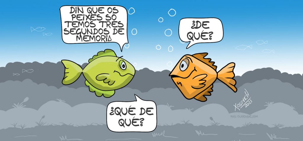 Xosevich memoria peixes