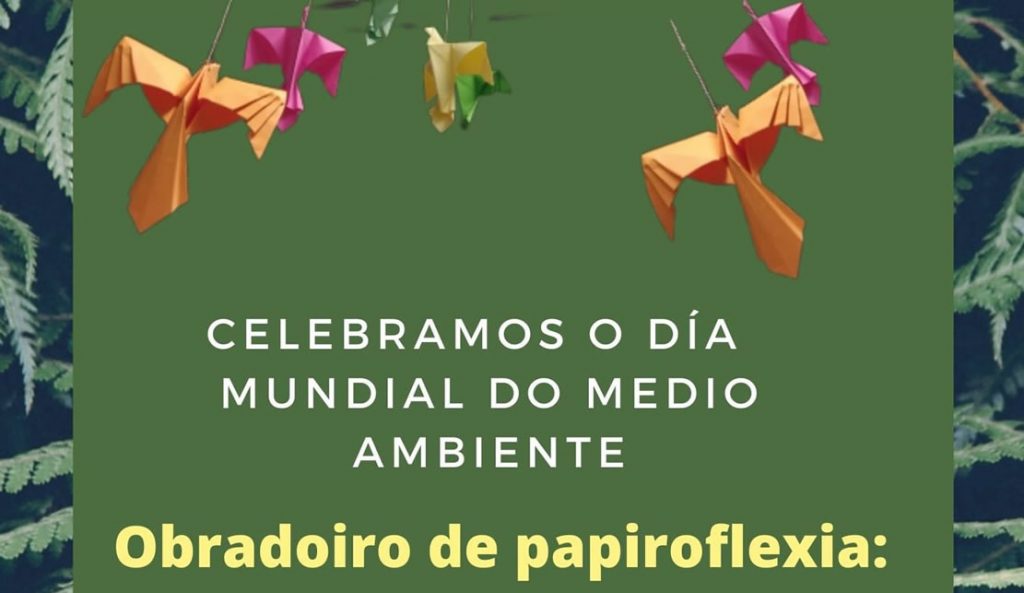 Taller de Papiroflexia