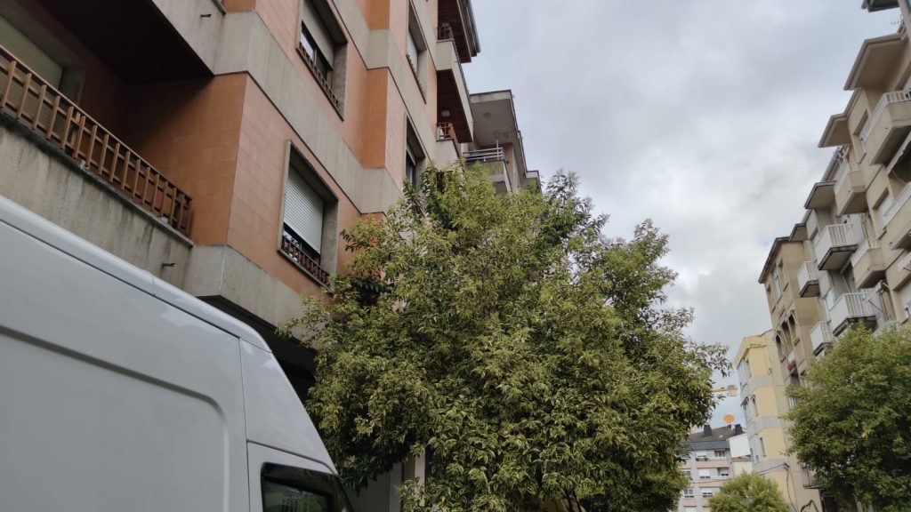 Los vecinos de Jesús Soria urgen al Concello para que poden los árboles 1 Árboles en Jesús Soria