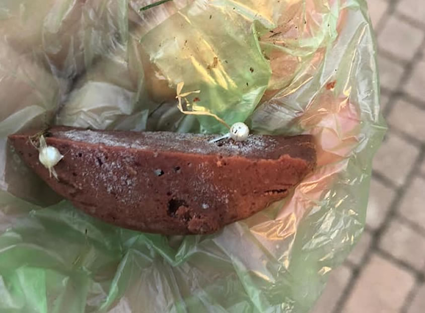 Alerta por la aparición en las últimas horas de cebos con alfileres 1 Comida con alfileres