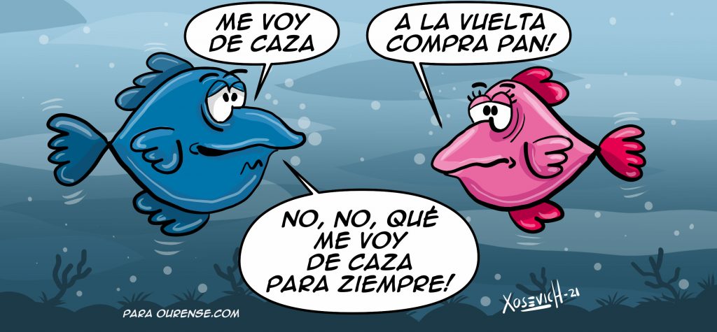 Xosevich 21 Me voy de caza Memes Humor chistes graficos