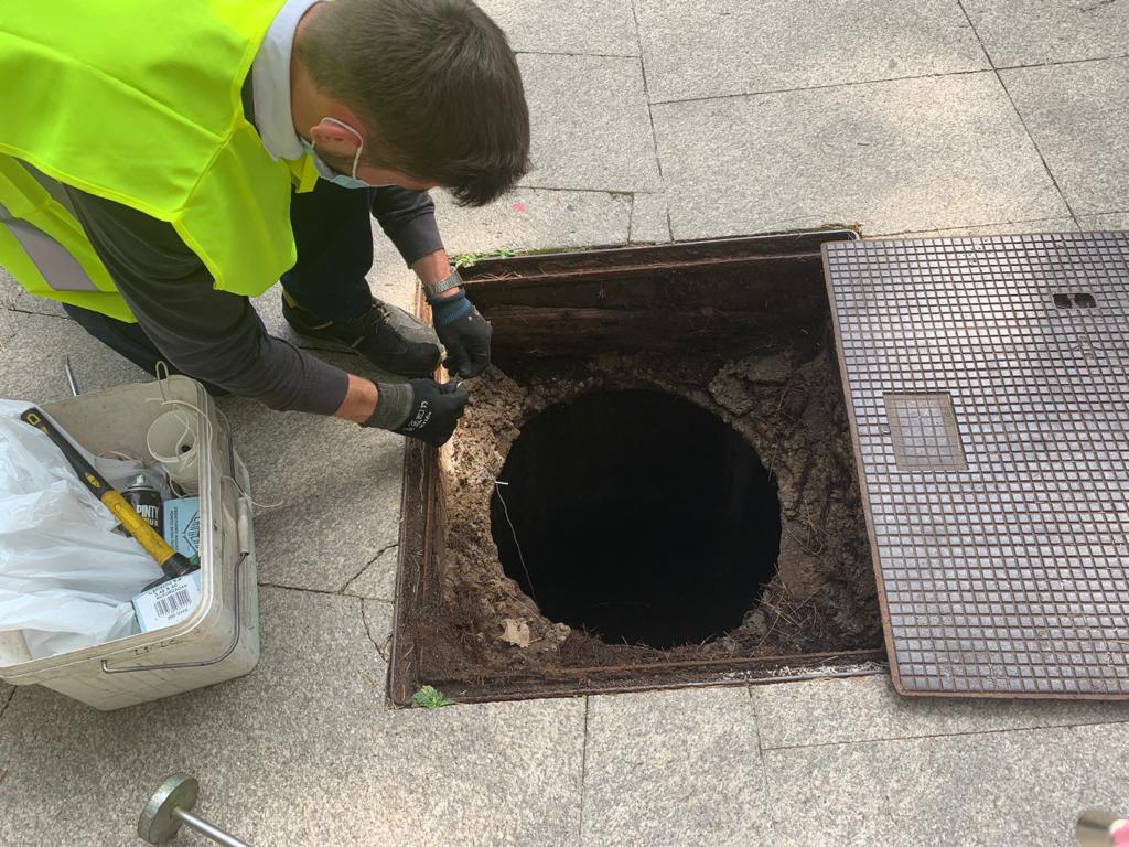 Control de ratas en Ourense