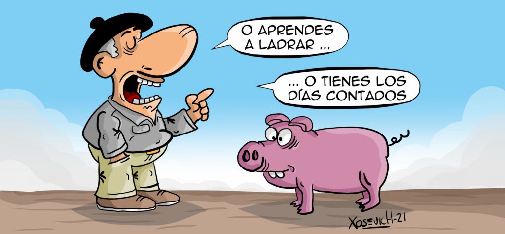Como librarse de ser el protagonista de la matanza 1 Chiste sobre la matanza del cerdo aprender a ladrar Xosevich 21