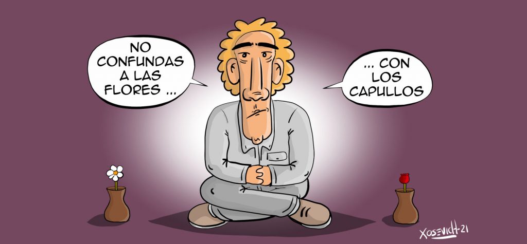 No confundas a las flores con los capullos 1 No confundas a las flores con los capullos frasec cortas y bonitas para amigos falsos Xosevich 21