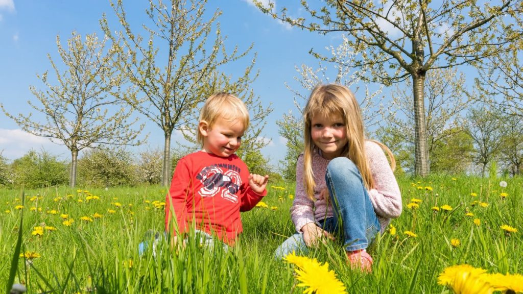 Niños en plena naturaleza