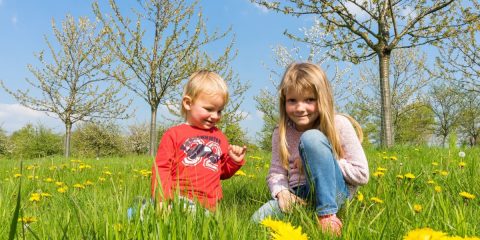 Niños en plena naturaleza