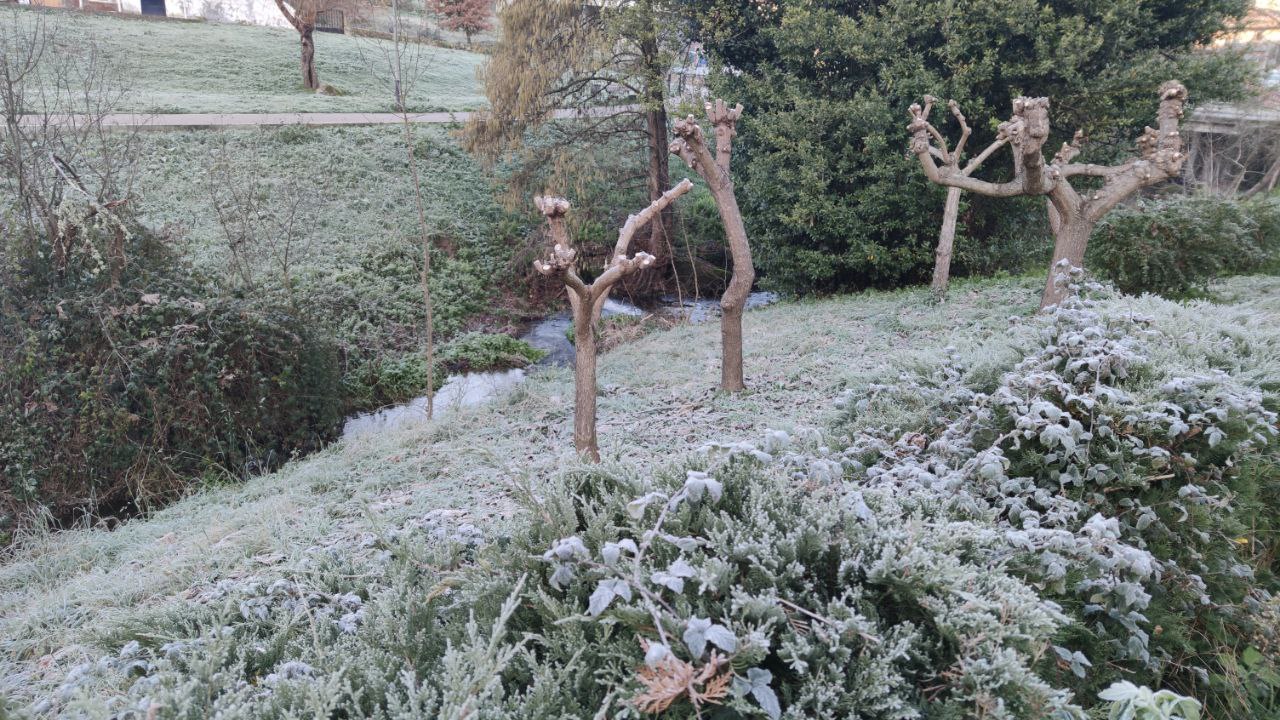 Helada en Ourense frio hielo tiempo (1)