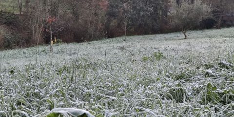 Helada en Ourense frio hielo tiempo