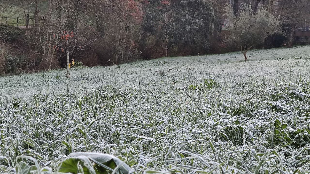 Helada en Ourense frio hielo tiempo