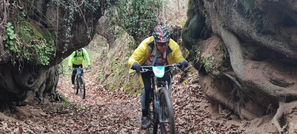 BTT bicicleta carrera