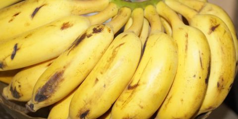 Plátanos