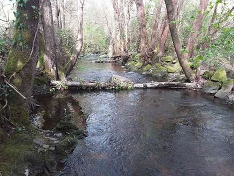 Se destinan 40.000€ a la limpieza del Río Barbaña a su paso por Noalla 1 Barbaña