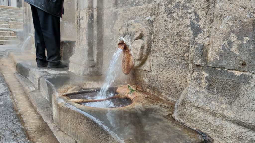 Grifo de las Burgas